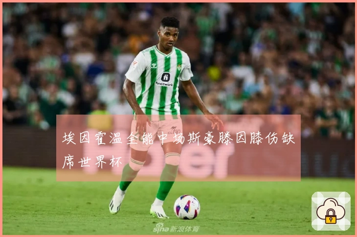 埃因霍温全能中场斯豪滕因膝伤缺席世界杯