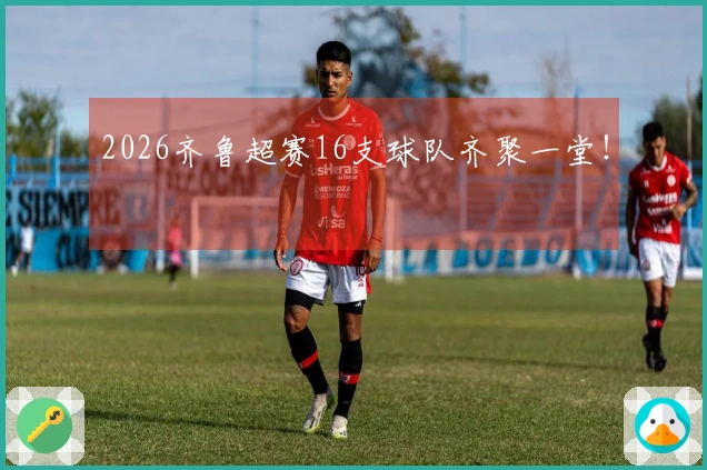 2026齐鲁超赛16支球队齐聚一堂！