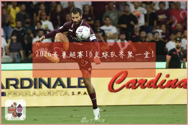 2026齐鲁超赛16支球队齐聚一堂！